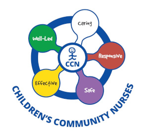 2018 Wheel CCN Logo with words