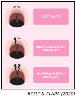 RCSLT and CLAPA image
