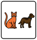 Cat and Dog image