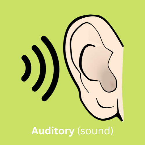 Ear and sound waves representing the auditory (sound) sense