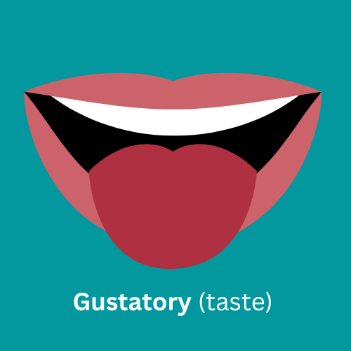 Open mouth with tongue sticking out representing the gustatory (taste) sense