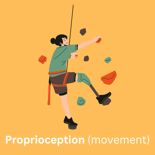 Young person with a prosthetic leg doing indoor rock climbing representing the proprioception (movement) sense