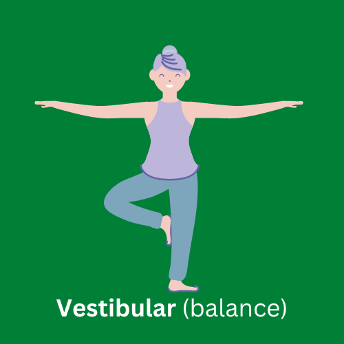 Young person balancing on one leg representing the vestibular (balance) sense