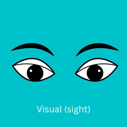 Open eyes representing the visual (sight) sense