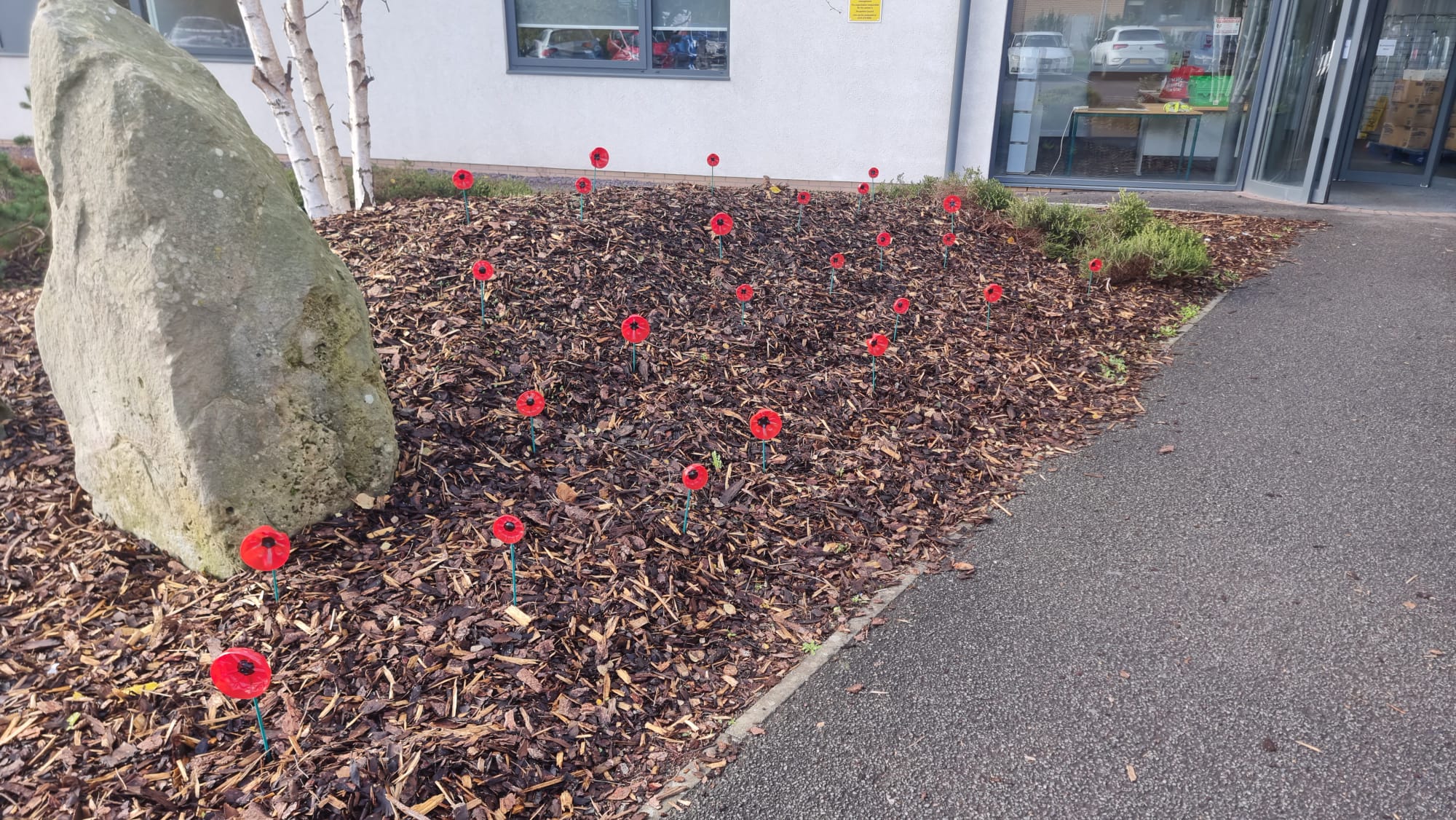 MicrosoftTeams-image (4)